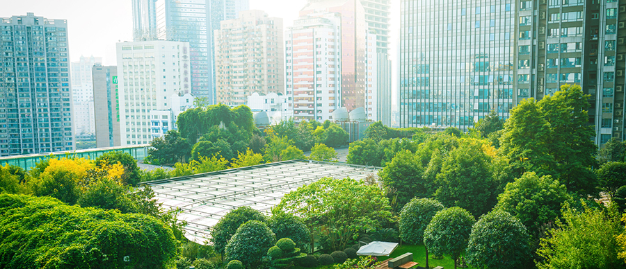 Master of Environmental Studies student in the field