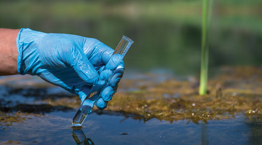 Rupika Ketu (MES ’21) leveraged Penn connections and curriculum opportunities, leading to a fulfilling career at the EPA.