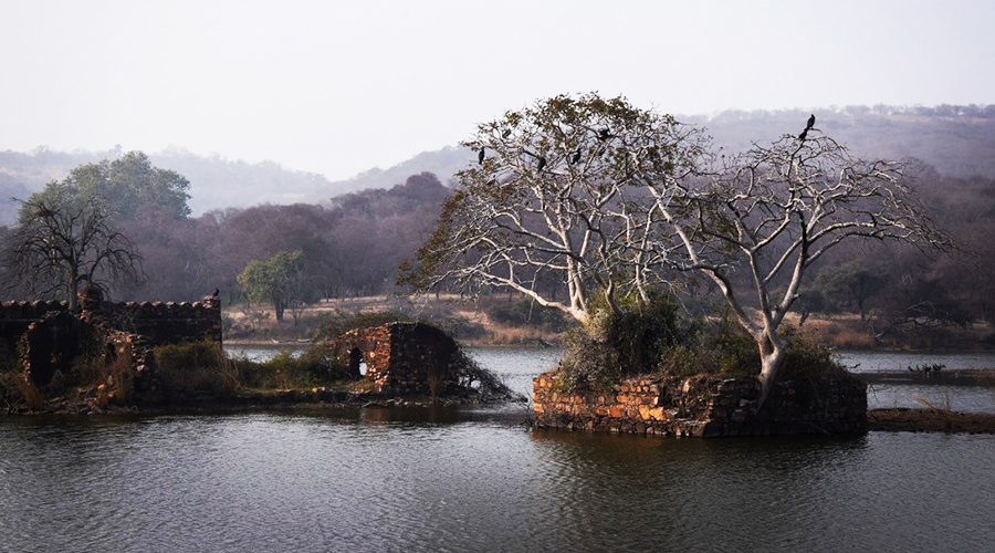 photo of Mumbai, India