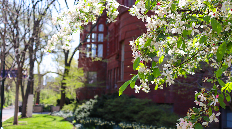 Photo of Penn Campus 