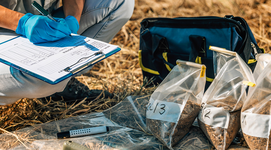 Master of Science in Applied Geosciences students in the field